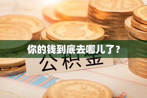 郧西你的钱到底去哪儿了？