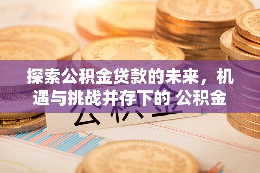 郧西探索公积金贷款的未来，机遇与挑战并存下的 公积金贷款风险防控