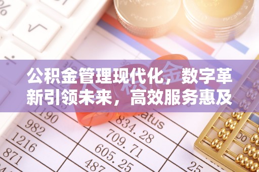郧西公积金管理现代化，数字革新引领未来，高效服务惠及民生