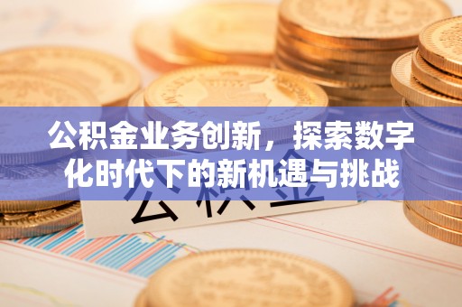 郧西公积金业务创新，探索数字化时代下的新机遇与挑战