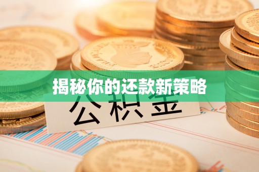 郧西揭秘你的还款新策略