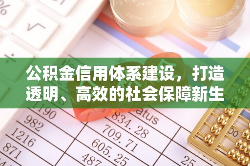 郧西公积金信用体系建设，打造透明、高效的社会保障新生态