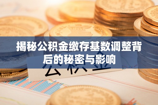 郧西揭秘公积金缴存基数调整背后的秘密与影响