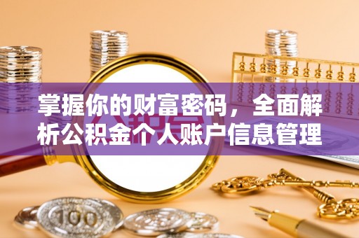 郧西掌握你的财富密码，全面解析公积金个人账户信息管理