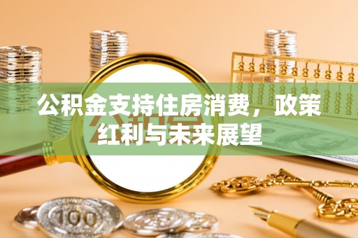 郧西公积金支持住房消费，政策红利与未来展望