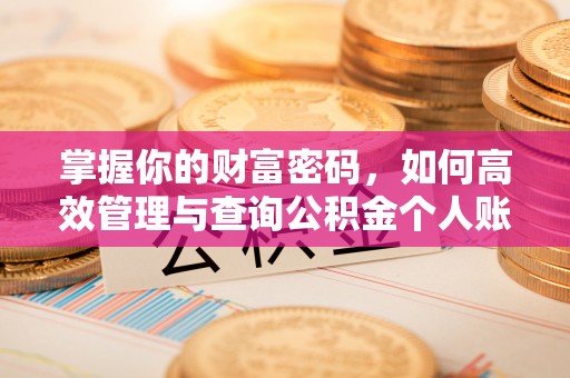 郧西掌握你的财富密码，如何高效管理与查询公积金个人账户信息