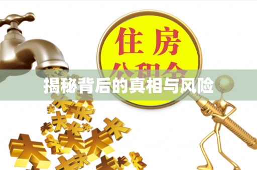 郧西揭秘背后的真相与风险