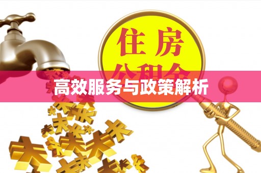 郧西高效服务与政策解析
