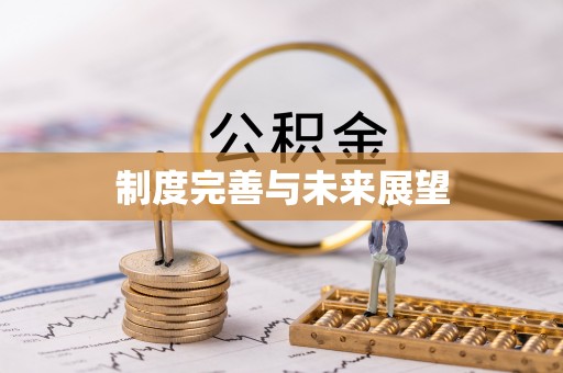 郧西制度完善与未来展望