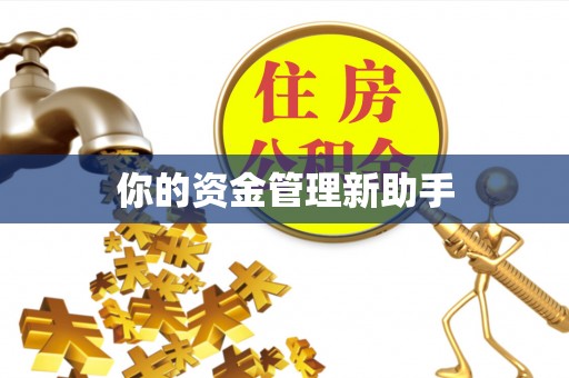 郧西你的资金管理新助手