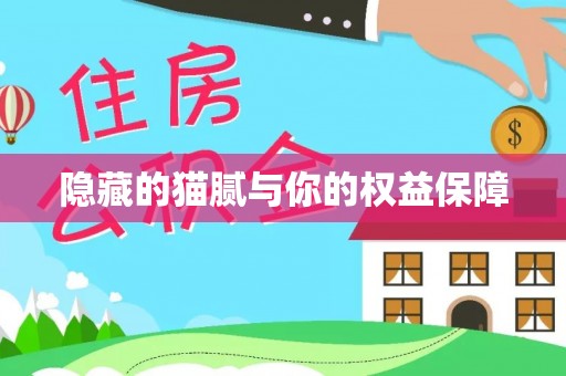 郧西隐藏的猫腻与你的权益保障