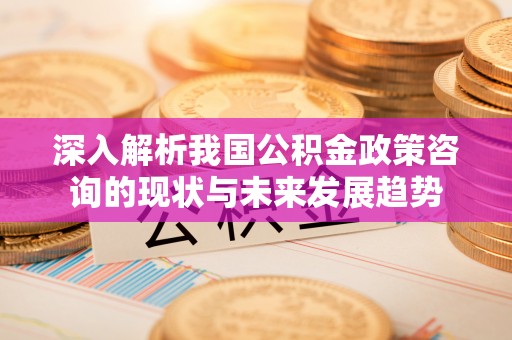 郧西深入解析我国公积金政策咨询的现状与未来发展趋势