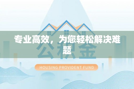 郧西专业高效，为您轻松解决难题