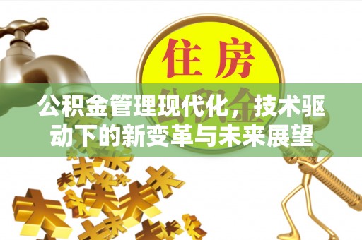 郧西公积金管理现代化，技术驱动下的新变革与未来展望
