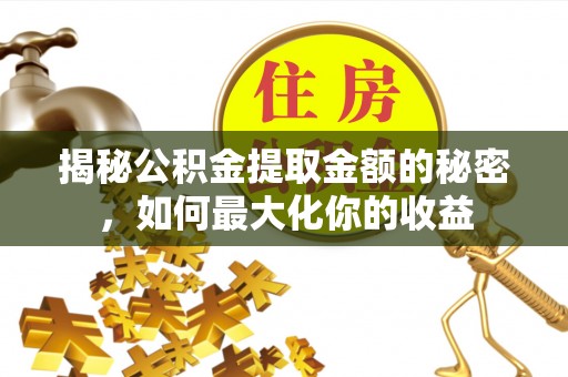 郧西揭秘公积金提取金额的秘密，如何最大化你的收益