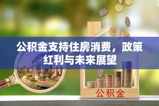 郧西公积金支持住房消费，政策红利与未来展望