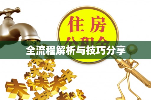 郧西全流程解析与技巧分享