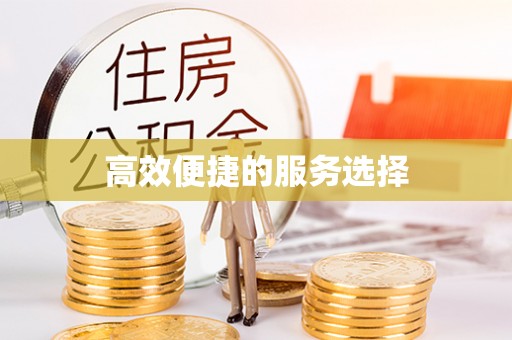 郧西高效便捷的服务选择