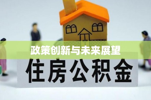 郧西政策创新与未来展望