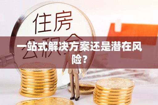 郧西一站式解决方案还是潜在风险？