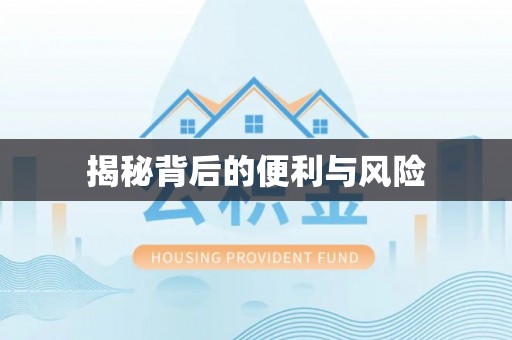 郧西揭秘背后的便利与风险